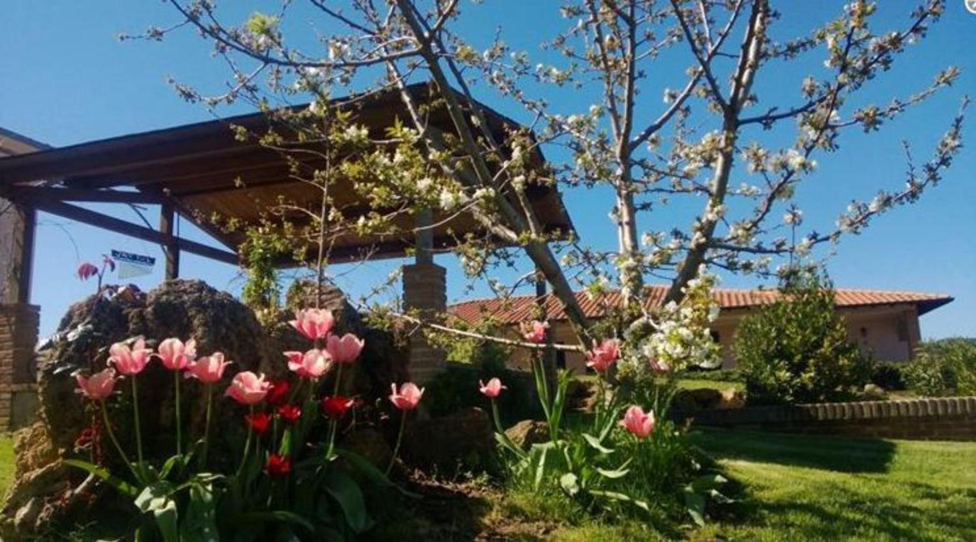 Villa La Mandriana Massa Marittima Exterior foto